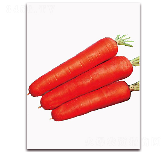 �|���t-���}���N��-�|������