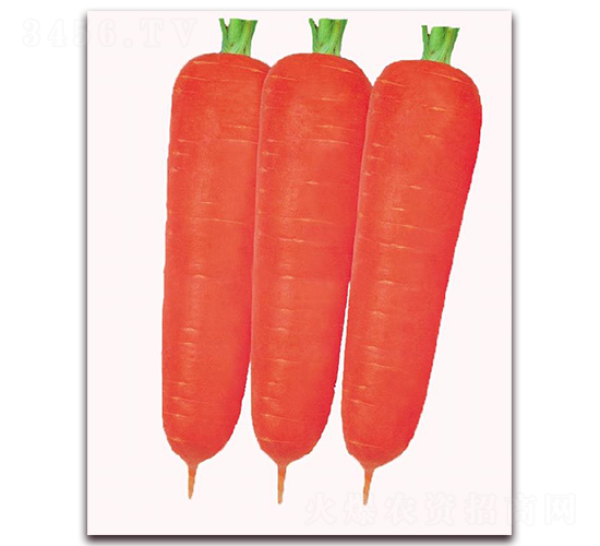 �¼t��-���}���N��-�|������