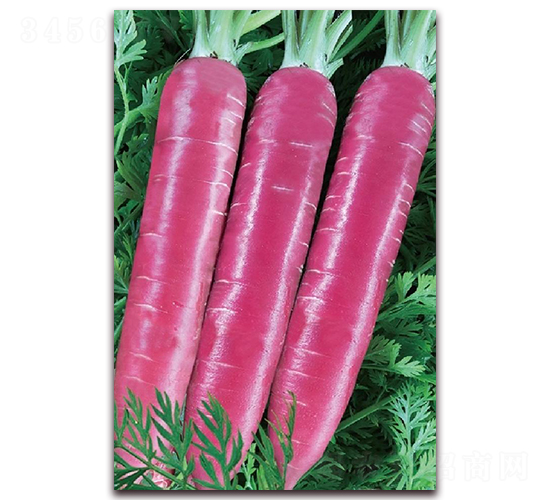 �ϼt��171-���}���N��-�|������