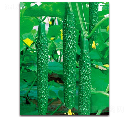 ����166-�S�ϷN��-�|������