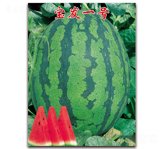 ���l(f��)һ̖-���ϷN��-�|������