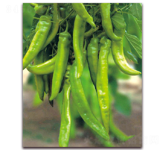 ����һ̖-�����N��-�|������