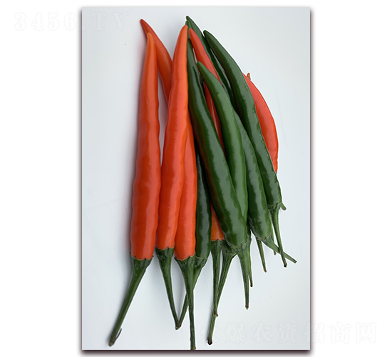 ����042-�����N��-�|������