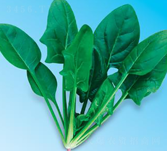 �G��(y��u)��6̖(h��o)-���˷N��-΢�ȷN�I(y��)