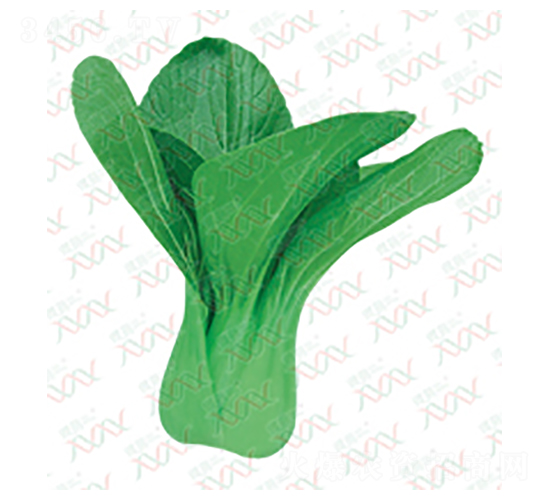 ���G�����๣��-��˷N��-΢�ȷN�I(y��)