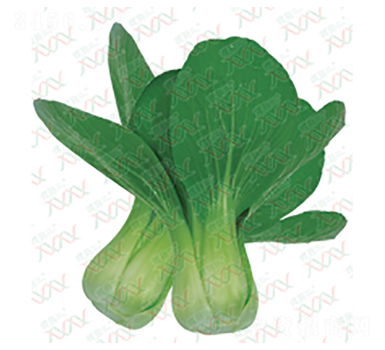 ����-��˷N��-΢�ȷN�I(y��)