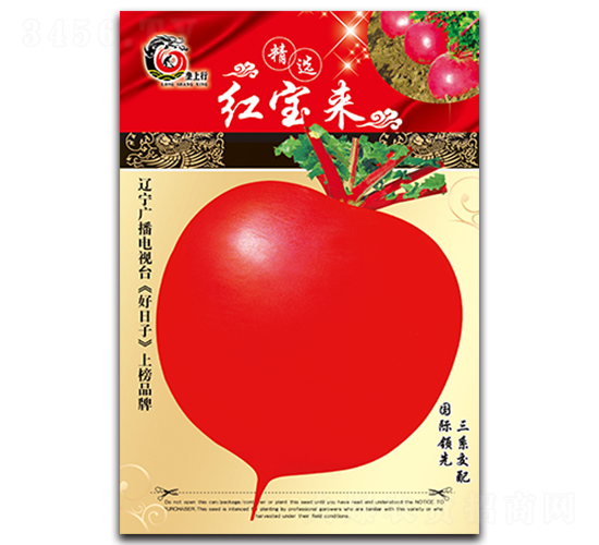 �t����-�}���N��-���ѩ��