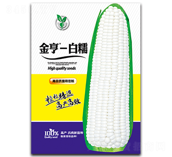 金亨白糯-玉米種子-金翊雪龍