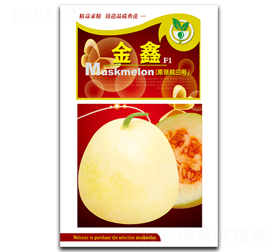 金鑫-香瓜種子-金翊雪龍