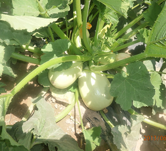 ���18̖-�����J�N��-����r(n��ng)�I(y��)