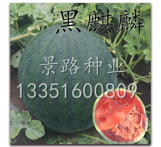 ��·������-�����ϷN��-��·�N�I(y��)