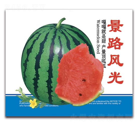 景路風(fēng)光-大西瓜種子-景路種業(yè)