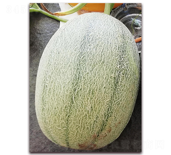 �¼t��25̖-���ܹϷN��-�����N��