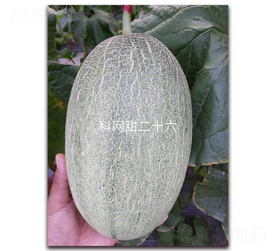 �ƾW(w��ng)��26-���ܹϷN��-�����N��