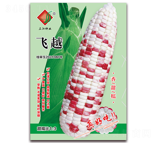 飛越-糯玉米種子-三江種業(yè)