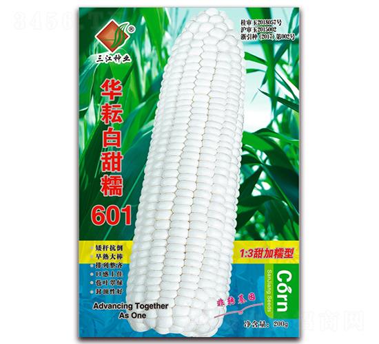華耘白甜糯601-糯玉米種子-三江種業(yè)