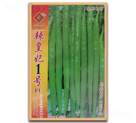 ������1̖F1-�����N��-�����N�I(y��)