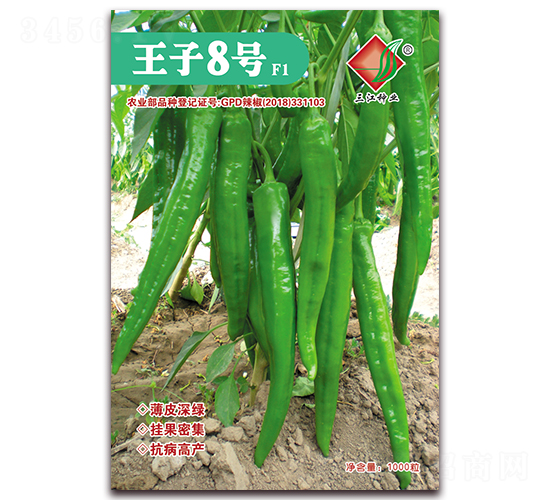 王子8號(hào)F1-辣椒種子-三江種業(yè)