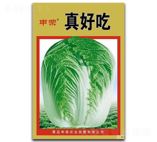 申榮真好吃-大白菜種子-申榮農(nóng)業(yè)