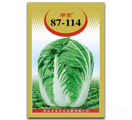 申榮87-114-大白菜種子-申榮農(nóng)業(yè)