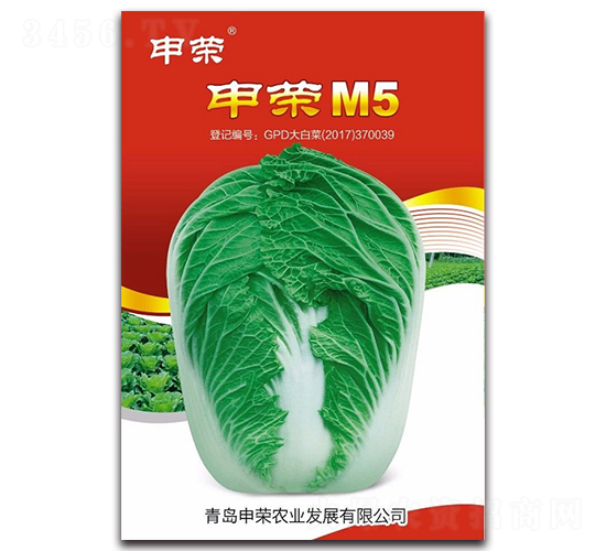 申榮M5-大白菜種子-申榮農(nóng)業(yè)