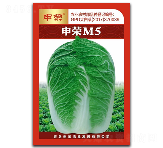 申榮M5（大紅版）-大白菜種子-申榮農(nóng)業(yè)