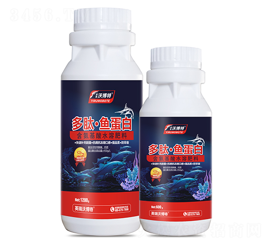 ���ġ��~����-Ӣ���ֲ���