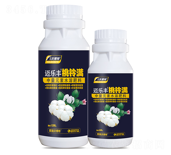 ��⏝M-�~���S-Ӣ���ֲ���