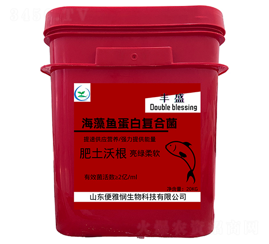 �����~(y��)���׏�(f��)�Ͼ�-�Sʢ-���ő�