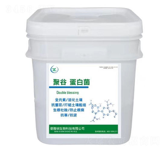 �۹ȵ��׾�-���ő�