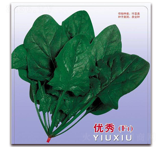 ����219-���˷N��-�����