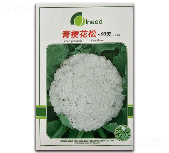 �������90��-�ɻ��˷N��-�����