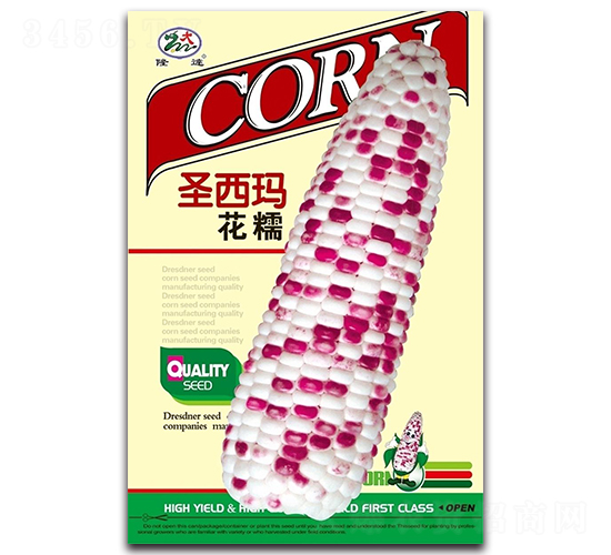 圣西瑪花糯-糯玉米種子-隆達(dá)