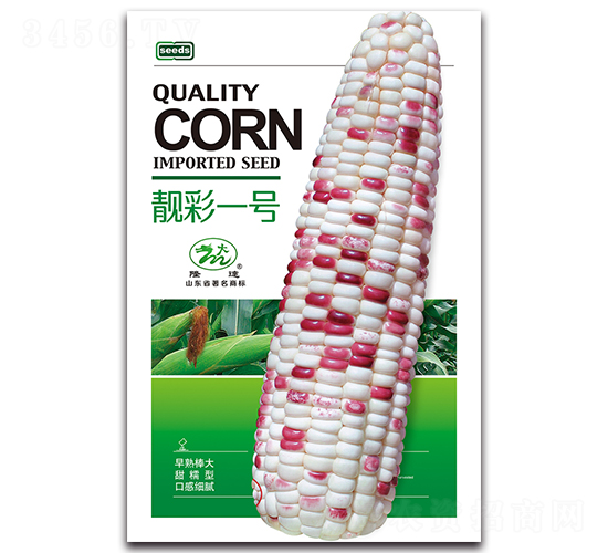 靚彩一號-糯玉米種子-隆達(dá)