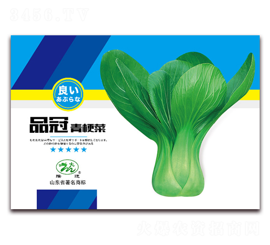 品冠青梗菜-油菜種子-隆達(dá)