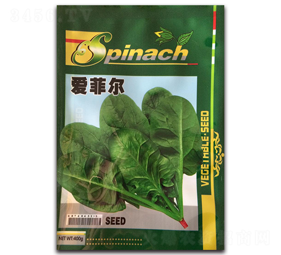 愛(ài)菲爾菠菜-菠菜種子-隆達(dá)