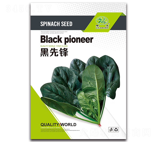 黑先鋒-菠菜種子-隆達(dá)