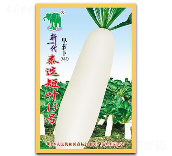 ��һ��̩�x���~13̖���}��-�}���N��-���S�N�I(y��)