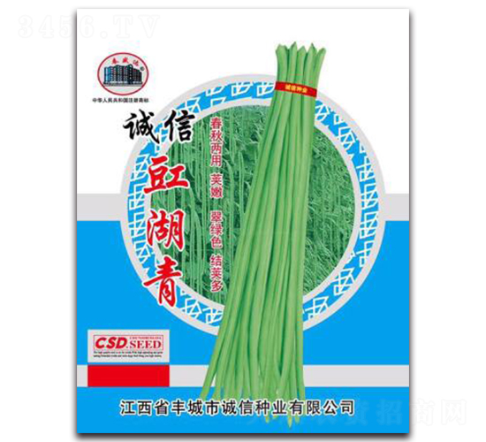 誠信豇湖青-豇豆種子-誠信種業(yè)