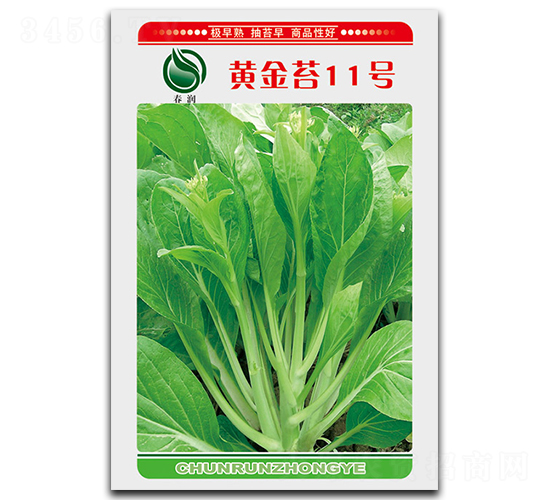 �S��̦11̖(h��o)-��̦�N��-��ʢ�@