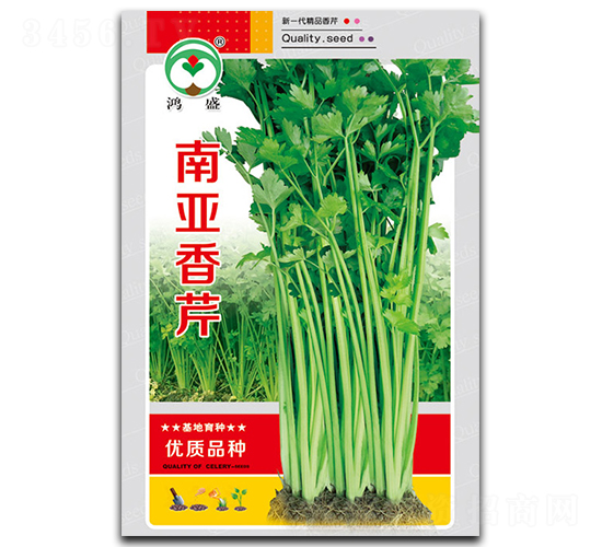 �ρ�����-�۲˷N��-��ʢ�@