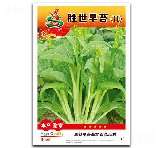 ������̦-��̦�N��-��ʢ�@