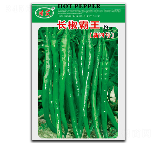 �L����������̖(h��o)-�����N��-��ʢ�@