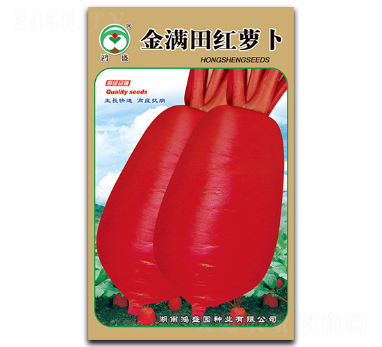 ��M��t�}��-�}���N��-��ʢ�@