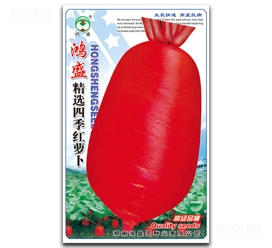 ���x�ļ��t�}��-�}���N��-��ʢ�@