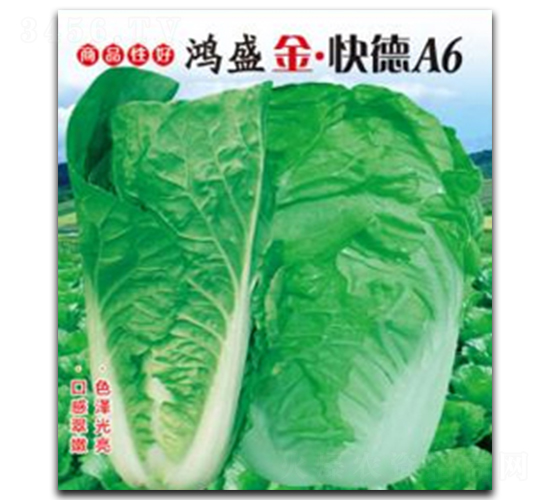 ��ʢ�𡤿��A6-�ײ˷N��-��ʢ�@