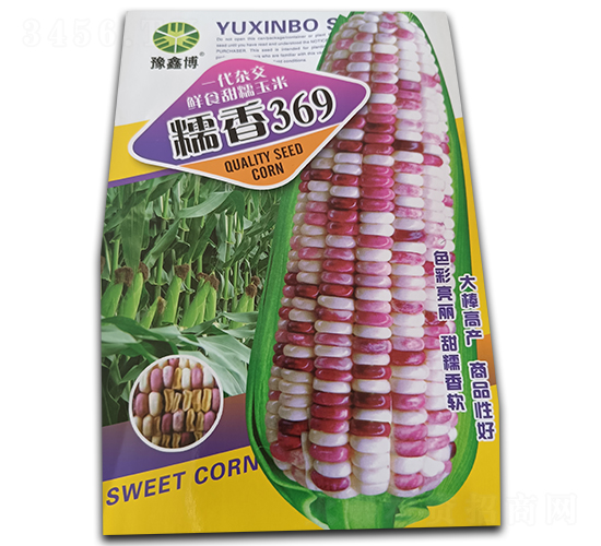 Ŵ��369-Ŵ���׷N��-ԥ�β�