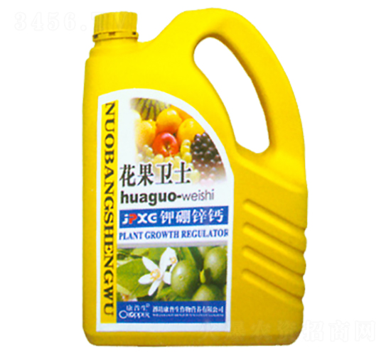 ����\�}-�����l(w��i)ʿ-������