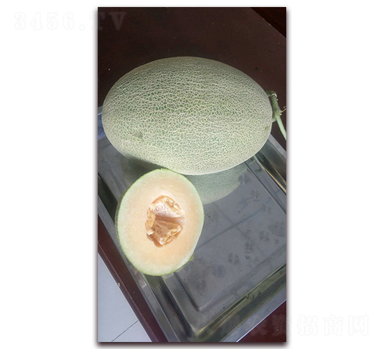 ��ؐ��̖(h��o)-��ϷN��-�F(xi��n)���N�I(y��)