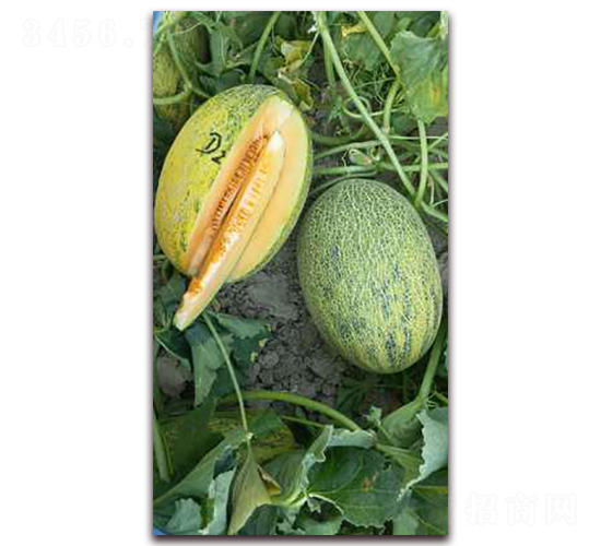 ����25̖-��ϷN��-�F(xi��n)���N�I(y��)